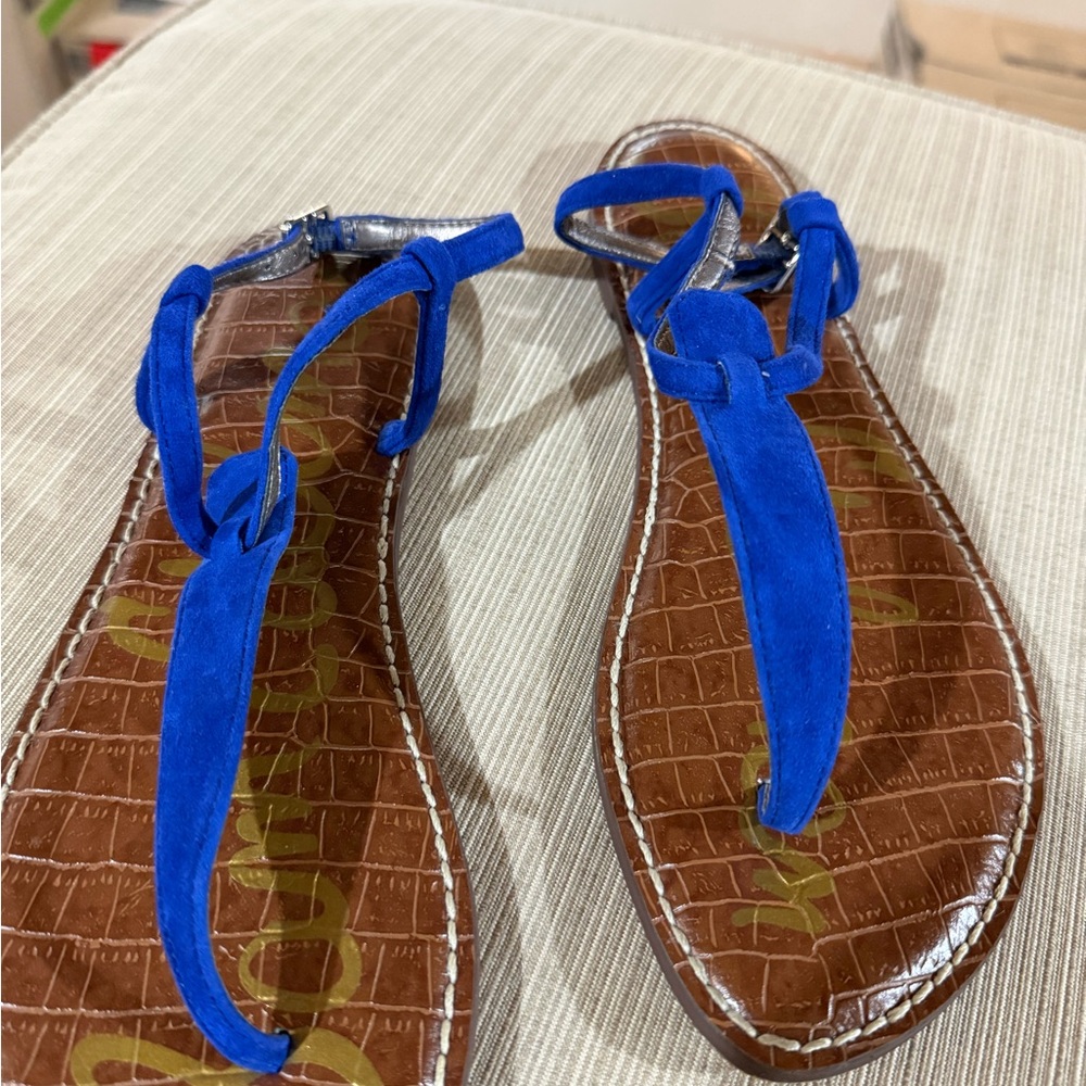 Sam Edelman Blue Thong Sandals